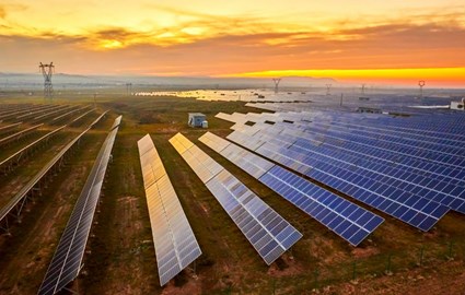 Solar panel field at sundown