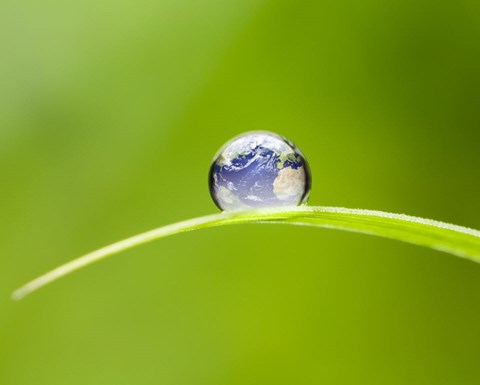 Een wereld bol met een natuurlijke achtergrond