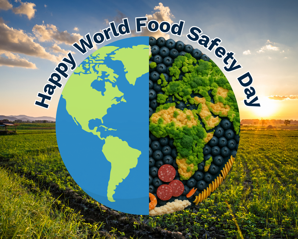 World Food Safety Day (1).png