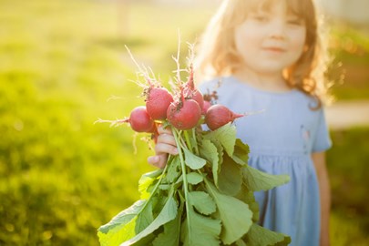 A little girl holding radish