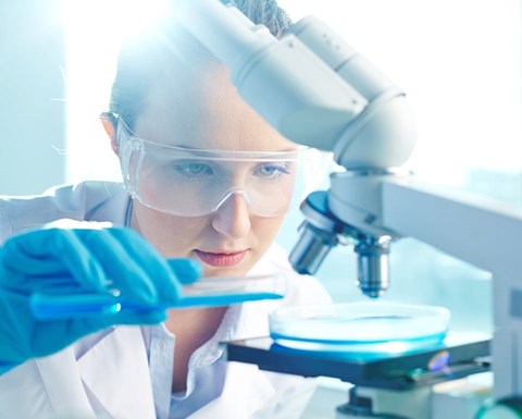 Laboratory