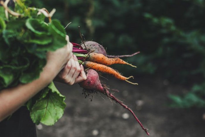 Carrots and beets