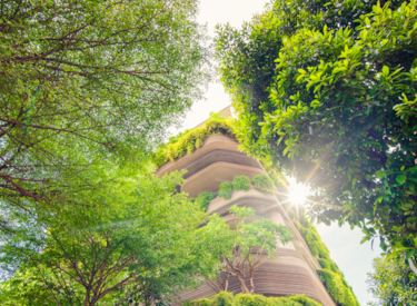 Edifici green