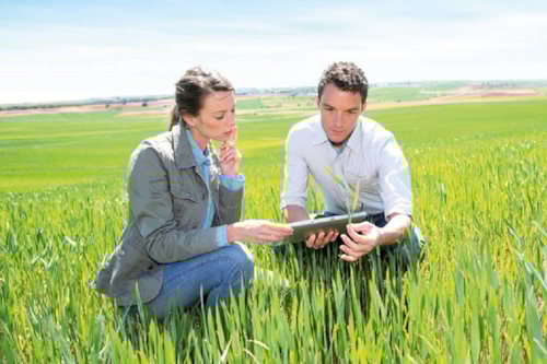 experts in a BRCGS food training in a wheat field