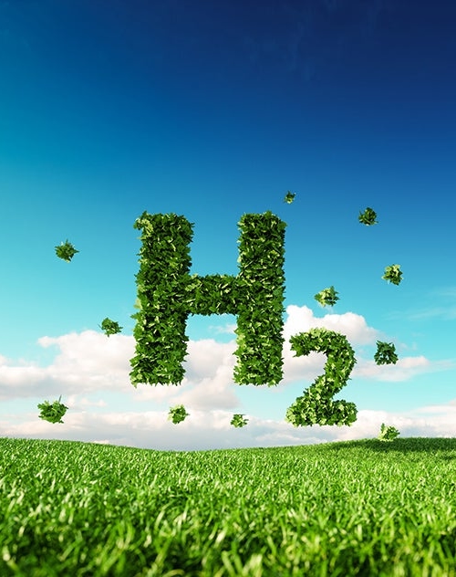 H2 icoon in weiland