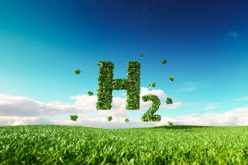 H2 icoon in weiland