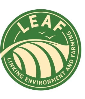 LM-logo-for-website.jpg