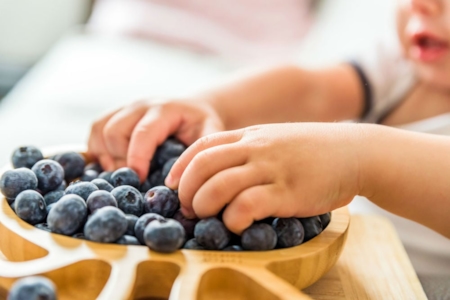 Berries