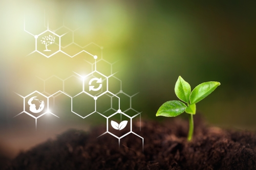 Carbon Footprint prodotto