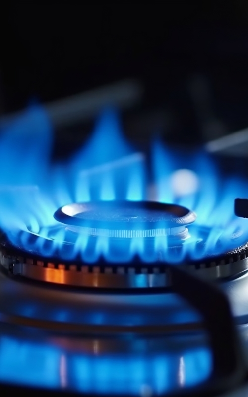 Sicurezza e Conformità degli apparecchi a Gas