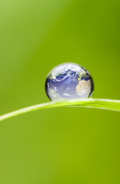 Een wereld bol met een natuurlijke achtergrond