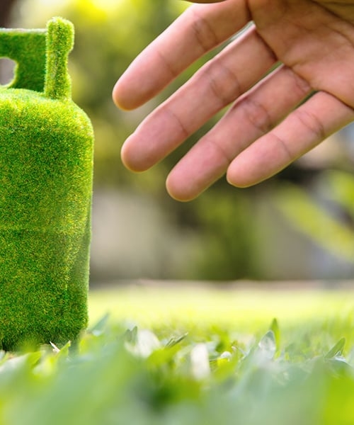 Een groene biotank