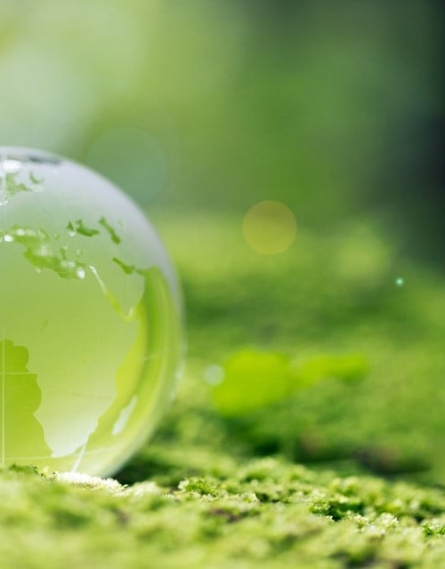 Circulaire economie